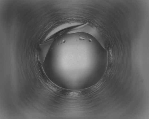 X0000051270176200507011754