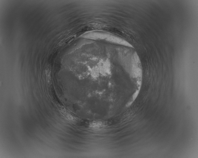 X0000051270177200507011754
