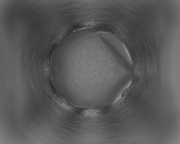 X0000051270179200507011754