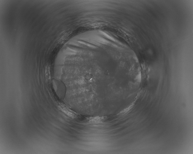 X0000051270182200507011754