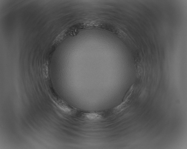 X0000051270183200507011754
