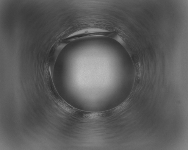 X0000051270184200507011754