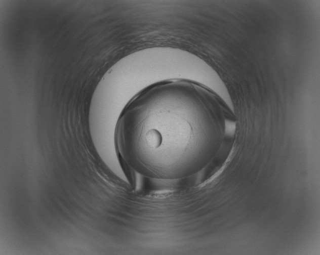 X0000051270186200507011754