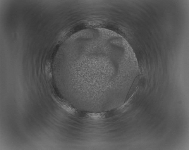 X0000051270187200507011754