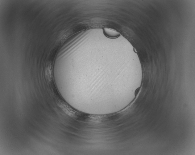 X0000051270190200507011754