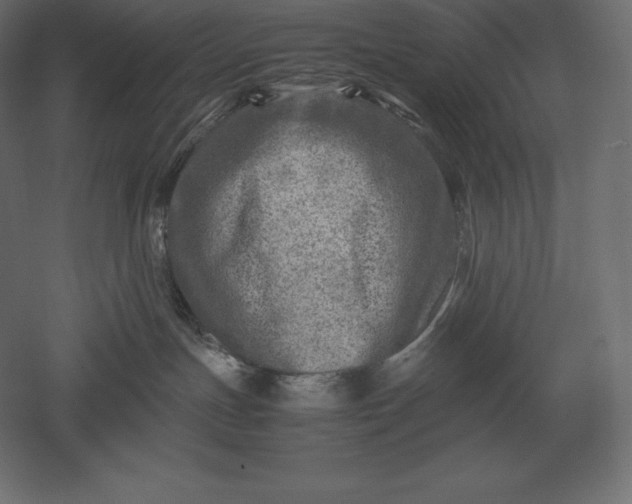 X0000051270191200507011754