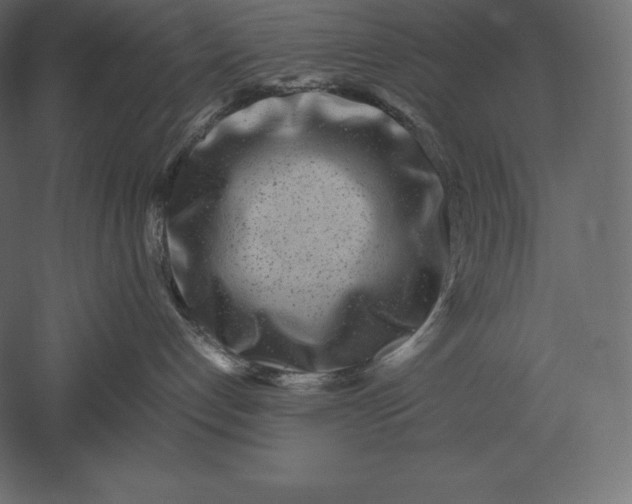 X0000051270192200507011754