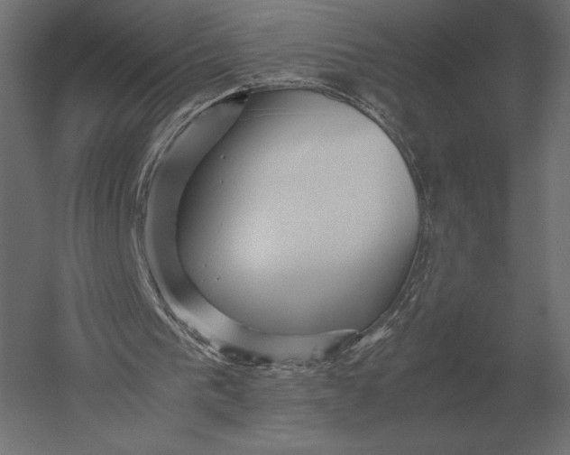 X0000051270193200507011754