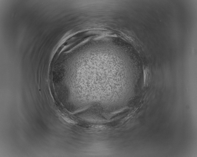 X0000051270195200507011754