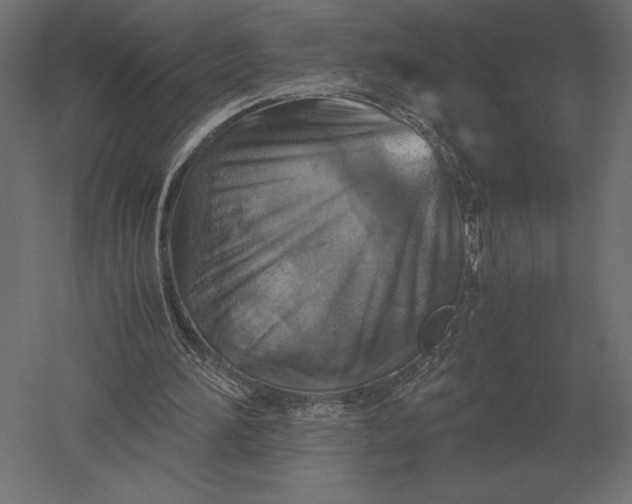 X0000051270196200507011754