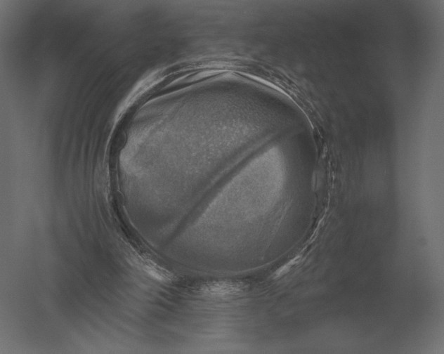 X0000051270198200507011753