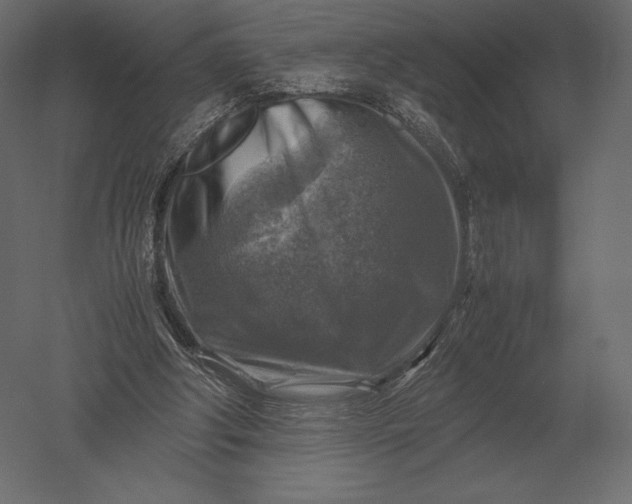 X0000051270202200507011753