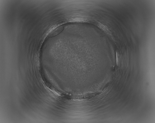 X0000051270204200507011753