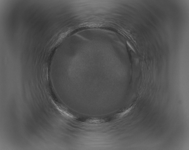 X0000051270205200507011753