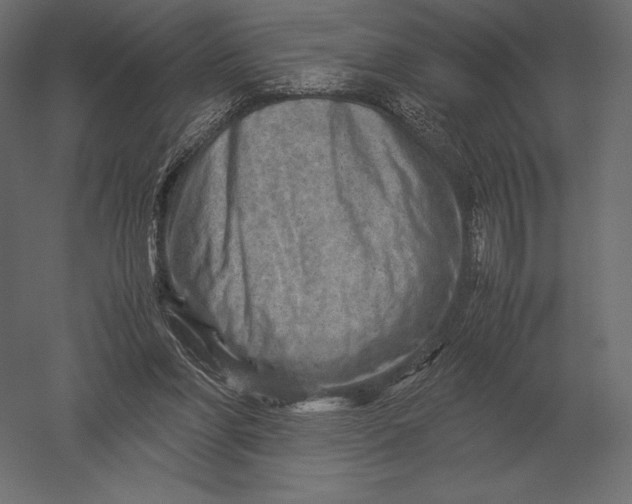 X0000051270206200507011753