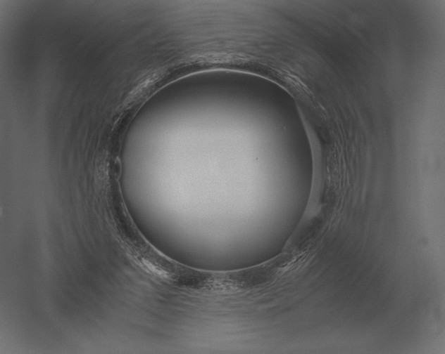X0000051270207200507011753