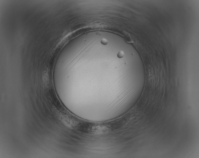 X0000051270208200507011753