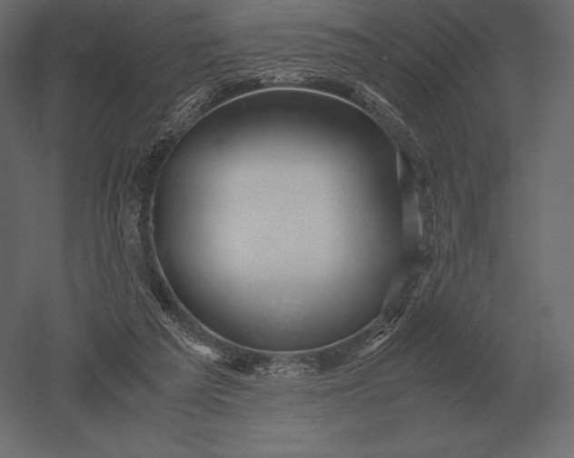 X0000051270209200507011753