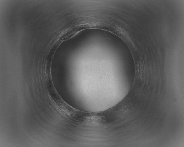 X0000051270212200507011753