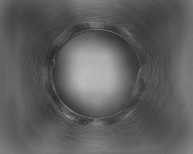 X0000051270213200507011753