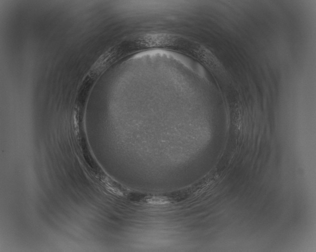 X0000051270214200507011753