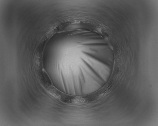 X0000051270215200507011753