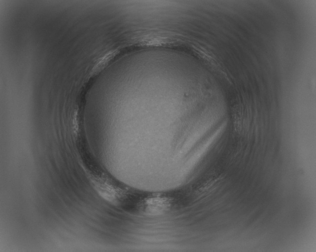 X0000051270216200507011753