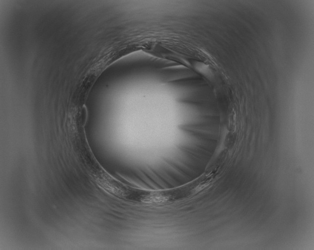 X0000051270217200507011753