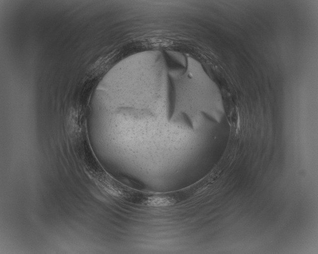 X0000051270218200507011753