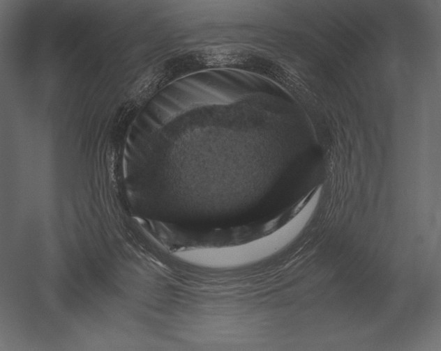 X0000051270219200507011753