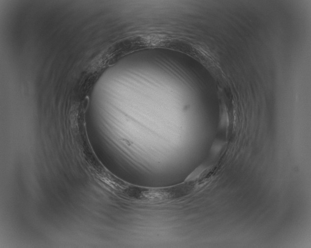 X0000051270221200507011753