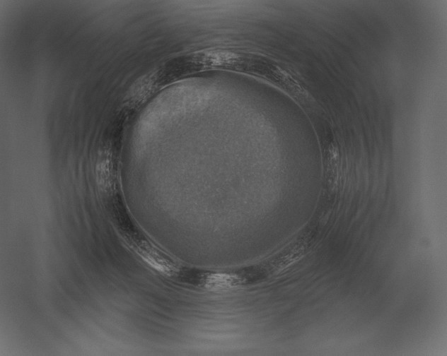 X0000051270222200507011753