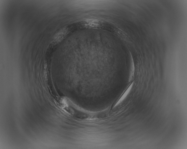 X0000051270223200507011753
