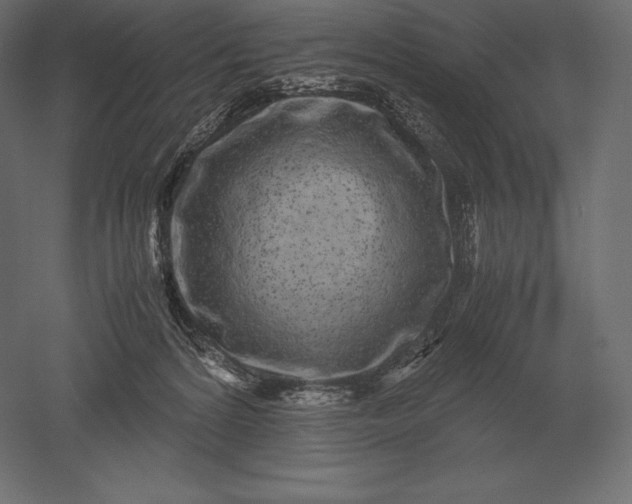 X0000051270224200507011753