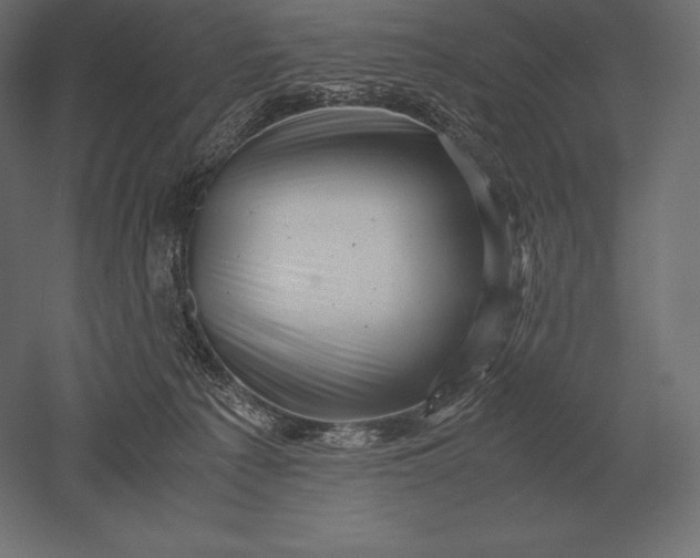 X0000051270225200507011753