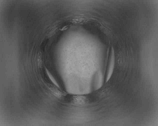 X0000051270226200507011753