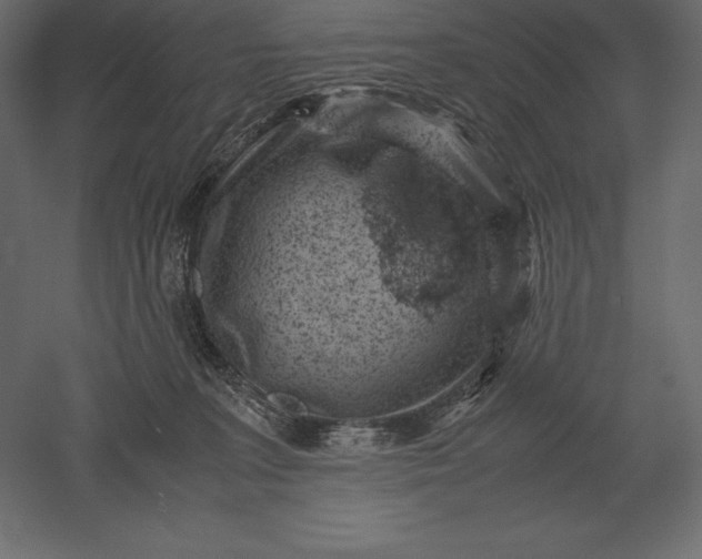 X0000051270227200507011753