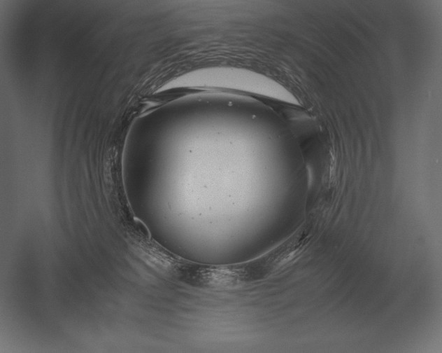 X0000051270229200507011753
