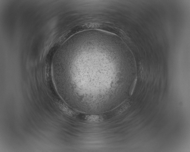 X0000051270230200507011753