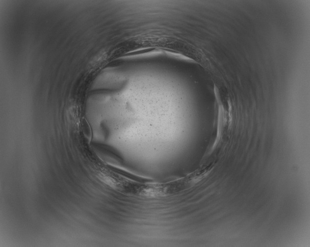 X0000051270232200507011753