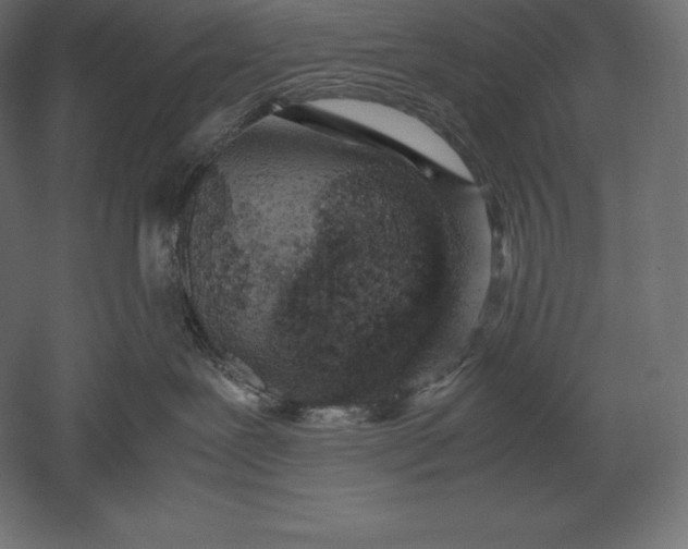 X0000051270239200507011753