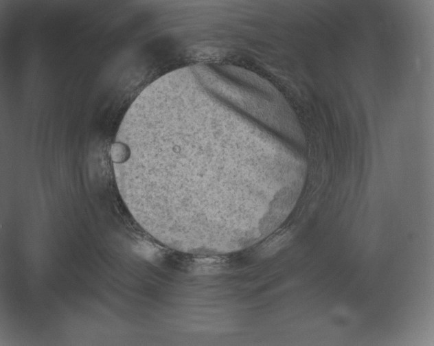 X0000051270240200507011753