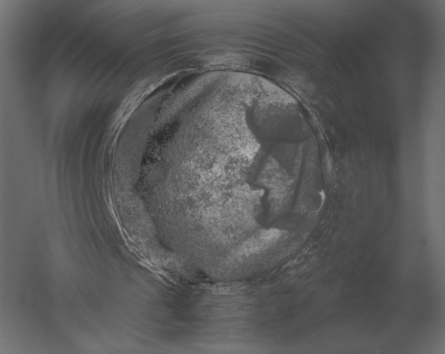 X0000051270241200507011752