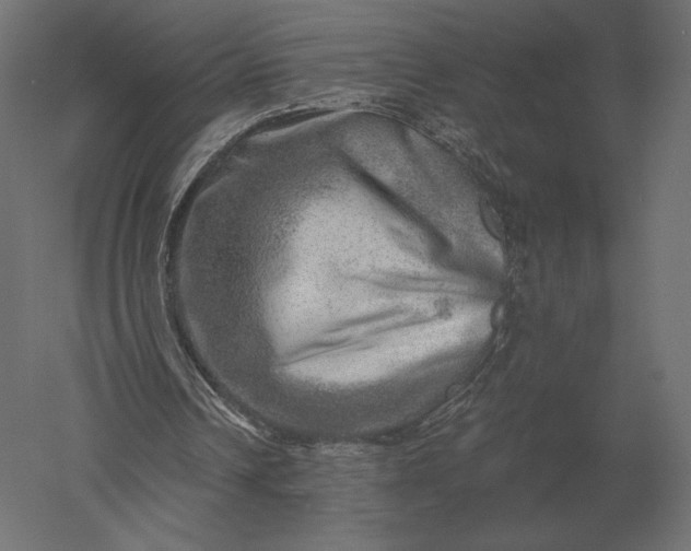 X0000051270242200507011752