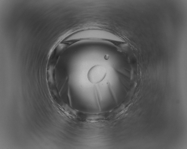 X0000051270244200507011752