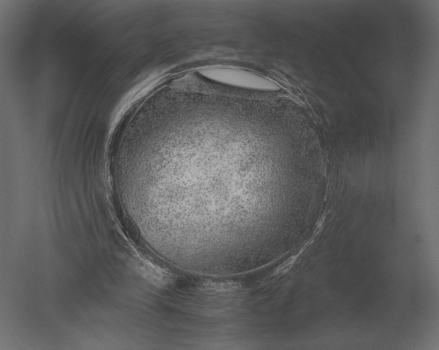 X0000051270245200507011752