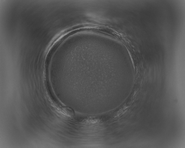 X0000051270247200507011752