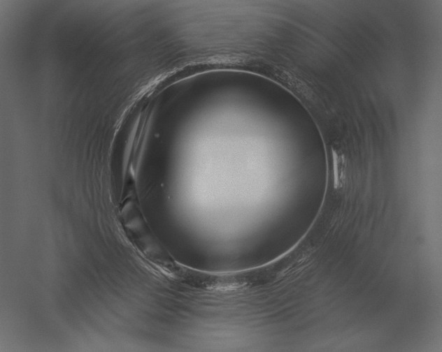 X0000051270252200507011752