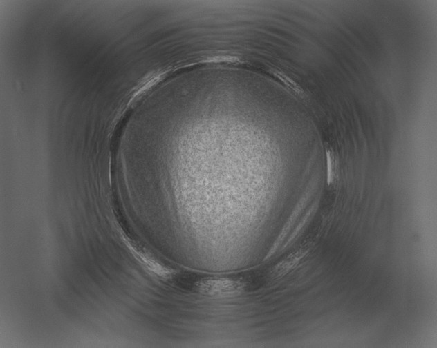 X0000051270253200507011752