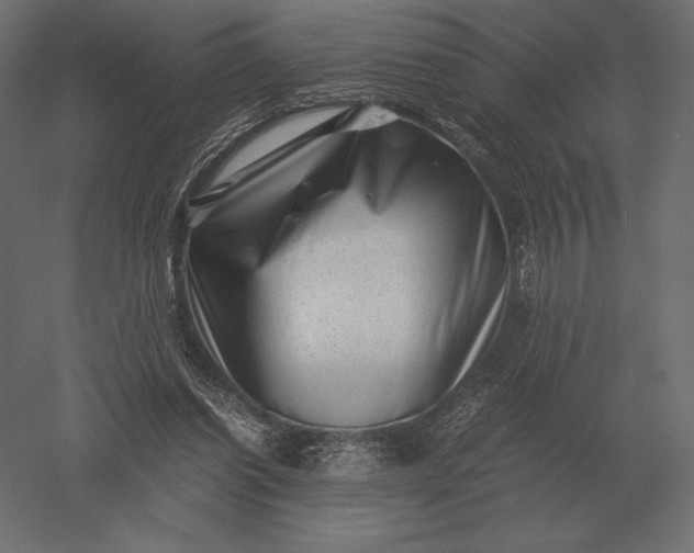 X0000051270254200507011752